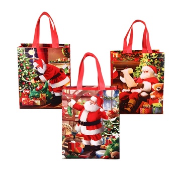 Christmas Non-Woven Gift Bag - Rope & Ribbon Handle