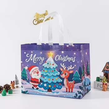 Factory-Price-Festival-Reusable-Durable-PP-Non.jpg_350x350.jpg Custom Logo PP Non-Woven Shopping Bag - Zipper, Rope Ribbon