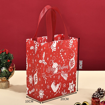 Manufacturer-China-Recyclable-Eco-Friendly-Custom-Logo.jpg_350x350.jpg Custom Logo Christmas Non-Woven Handle Bags - Folding Recyclable