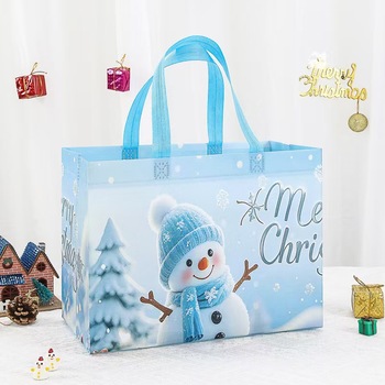Christmas Non-Woven Holiday Bags - Rope & Ribbon, Reusable